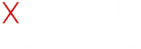 X Group Companies